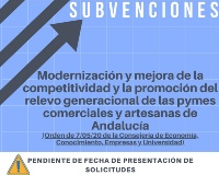 Subvenciones a la modernización y mejora de la competitividad_rec