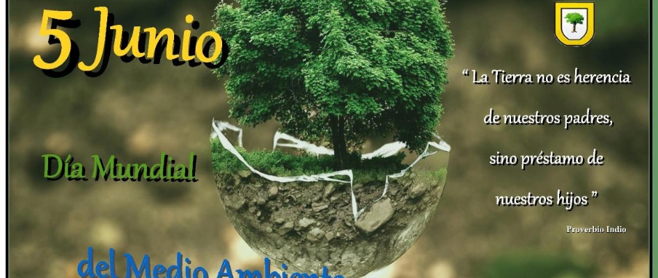 cartel_diamundialmedioambiente_19.jpg