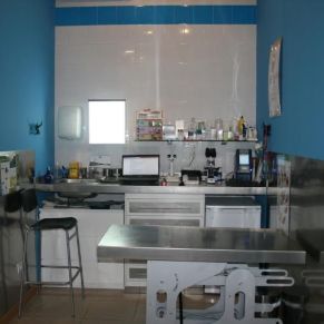 LinceVeterinarios_002.jpg